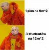 5 kaczyńskiego