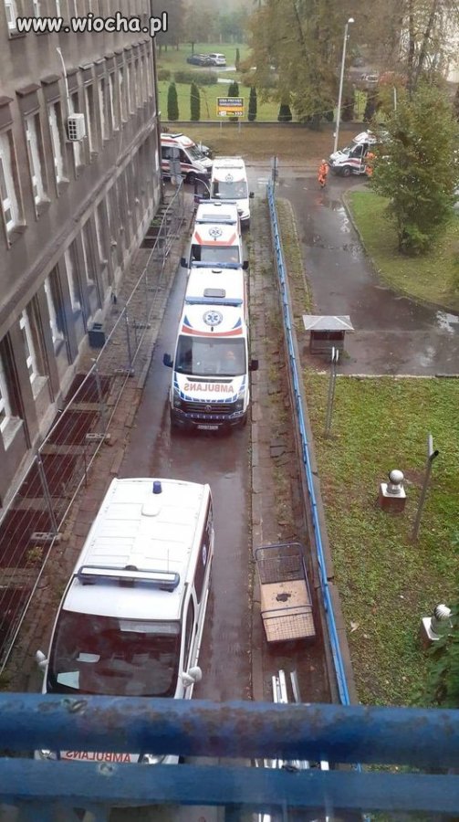 Za czym kolejka ta stoi...?