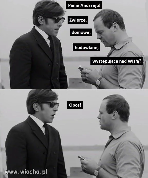 Brak tematu