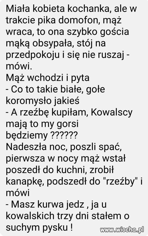 Trochę humoru 