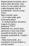 Trochę humoru 
