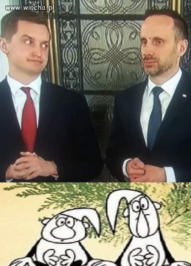 Żwirek i Muchomorek.