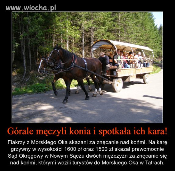 Chcecie zarobić dutki? 