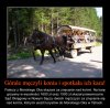 Chcecie zarobić dutki? 