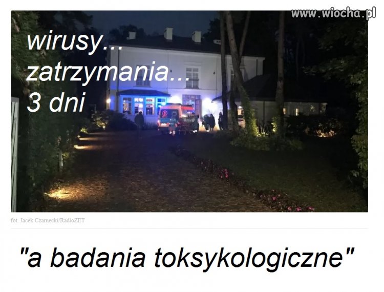 Suweren paczy i się czasami zastanawia