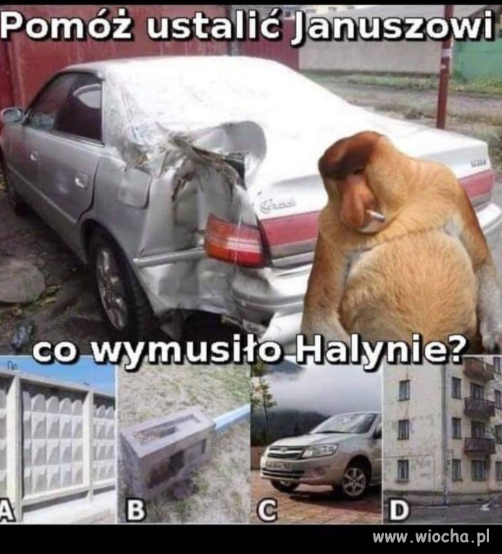 Pomóż Januszowi 