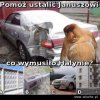 Pomóż Januszowi 