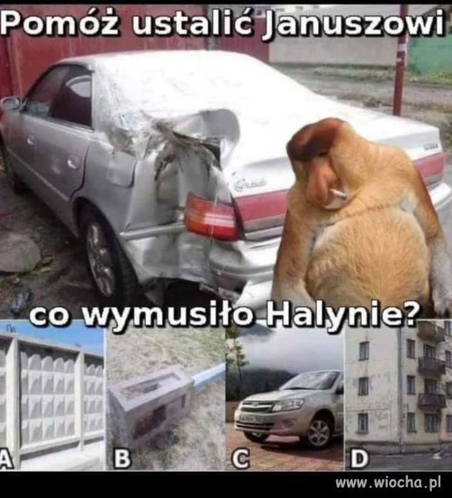 Pomóż Januszowi 