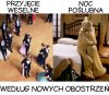 Maseczki to był Pikuś. 