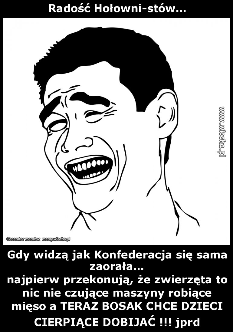 Radość Hołowni-stów...