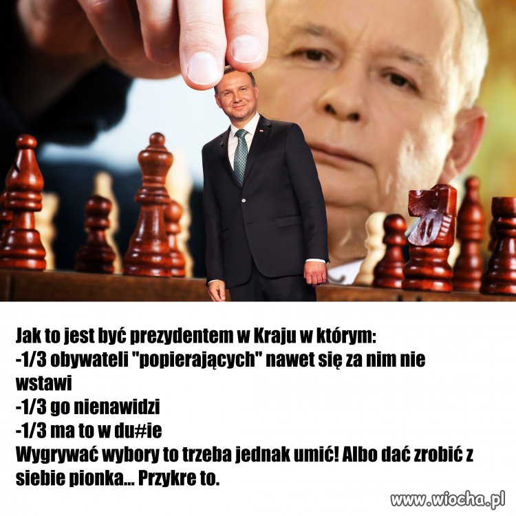 Z cyklu: