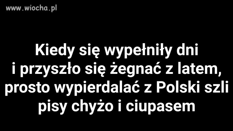 Ludzie piszą wiersze napiszę i ja