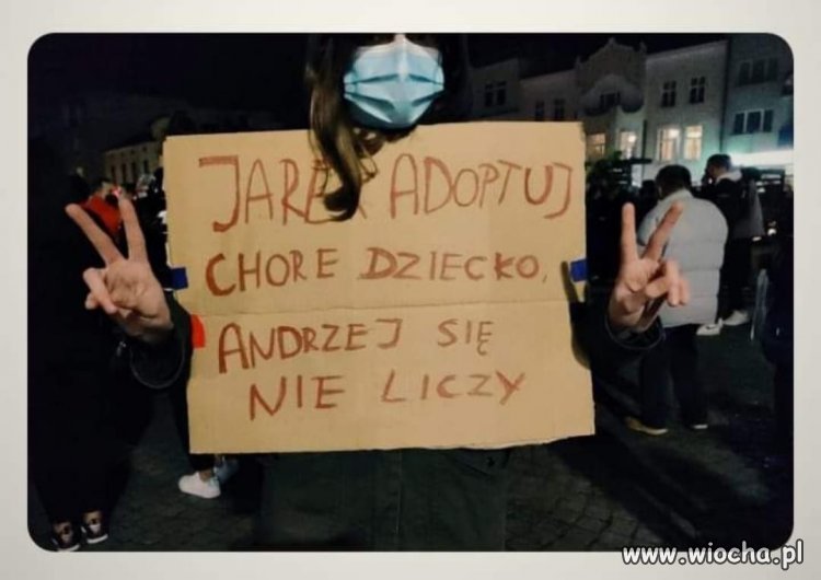 Adopcja dla kaczora