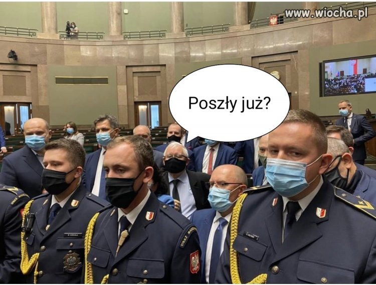 Tchórz tysiąclecia
