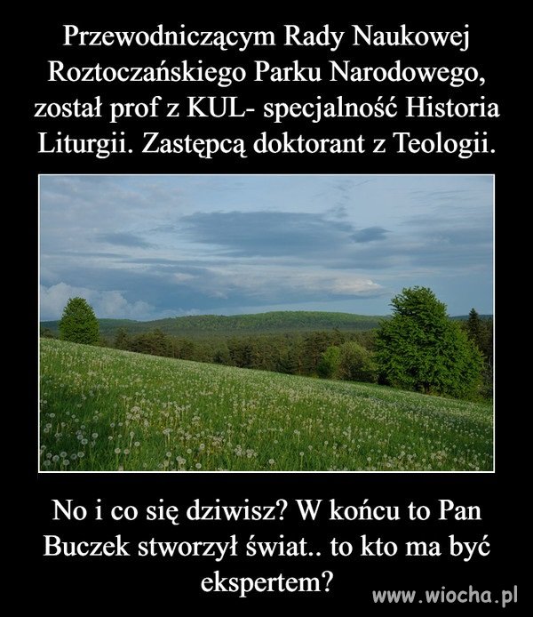 Ach ci pisowscy specjaliści. Fachowcy od ...
