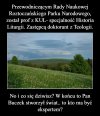 Ach ci pisowscy specjaliści. Fachowcy od ...