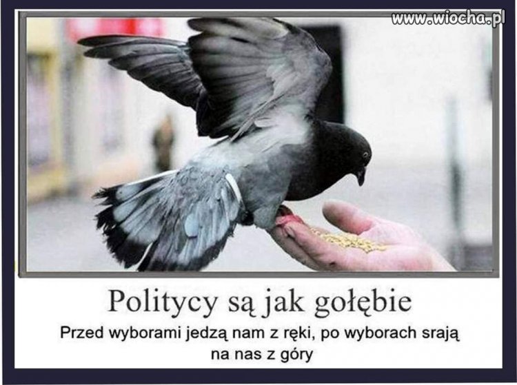 Właśnie się o tym przekonali rolnicy i górnicy ...