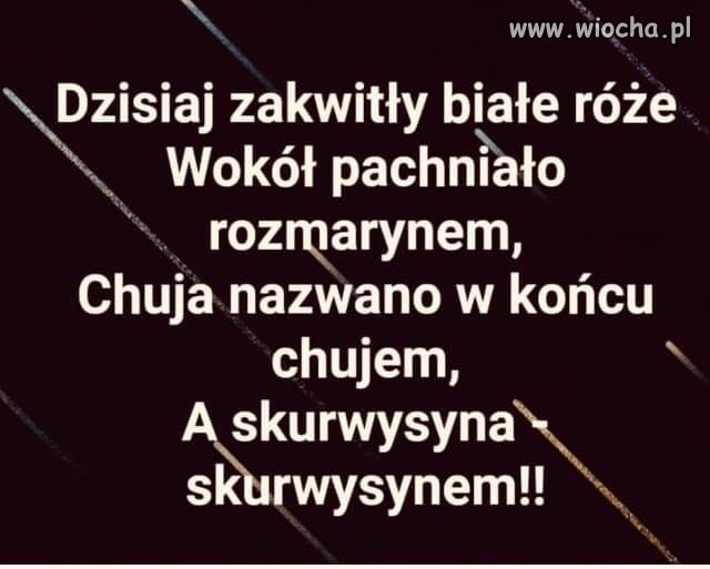 Trafniej już chyba nie można ...