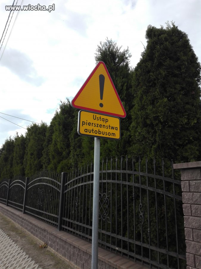 Polska trudny język