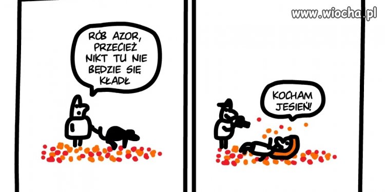 Kocham 