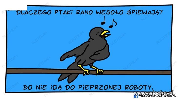 Ptaki