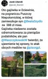 Za tyle można wynająć domek