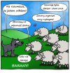 Barany
