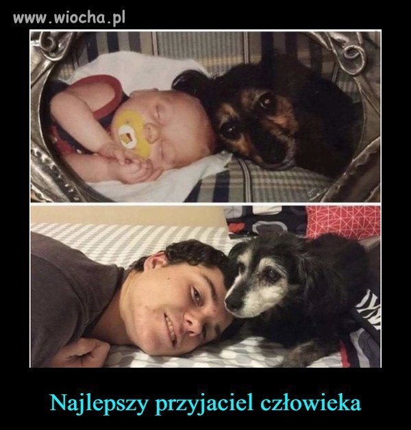 On nigdy cię nie zdradzi 