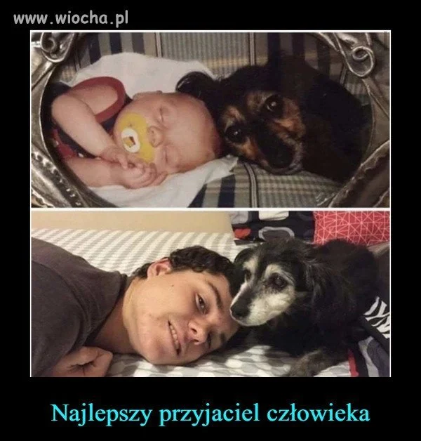 On nigdy cię nie zdradzi 