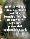 Nie żebym coś tu