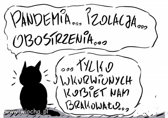 Tytuł zbędny