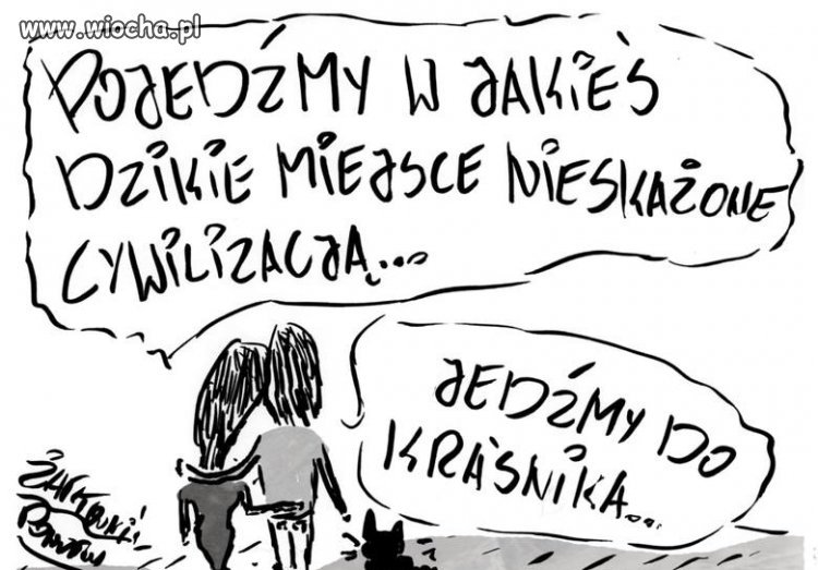 Pozytywy  pisowskiego pierdz...ewa