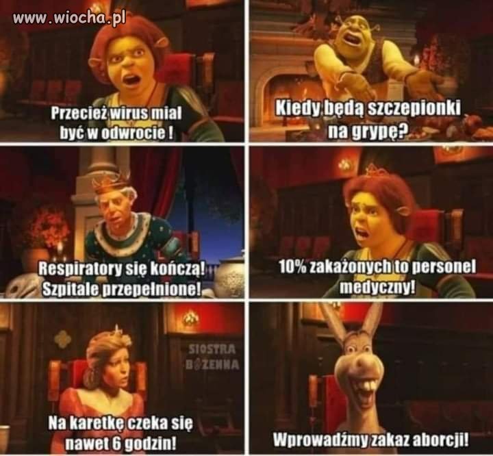 Analiza postępowania PiS 