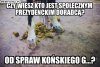 Taka tam prawacka zagadka