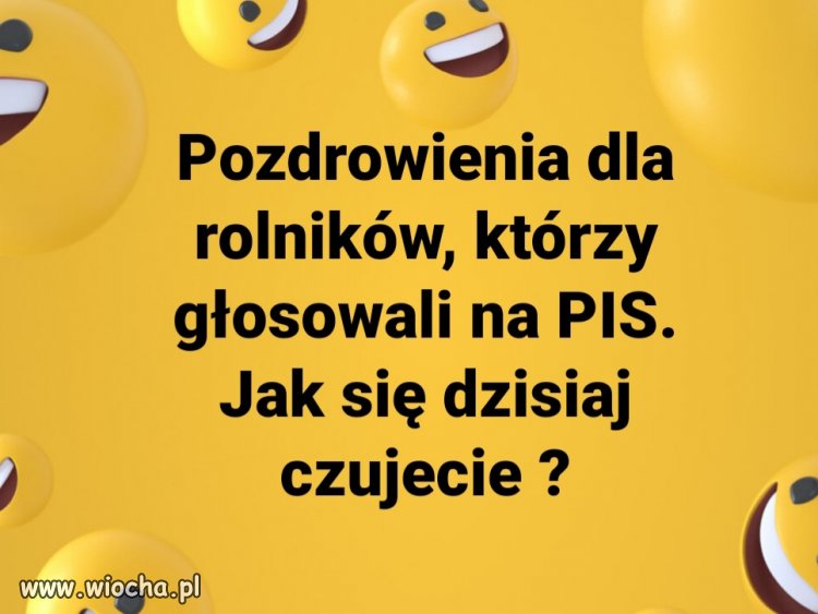 Podobno leżącego się nie kopie