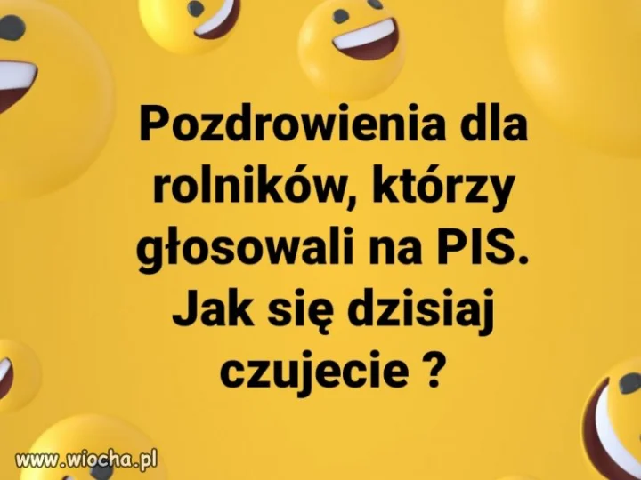 Podobno leżącego się nie kopie
