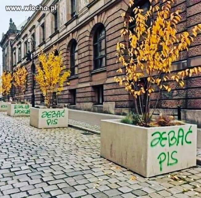 No i jak tu nie kochać bliźniego 