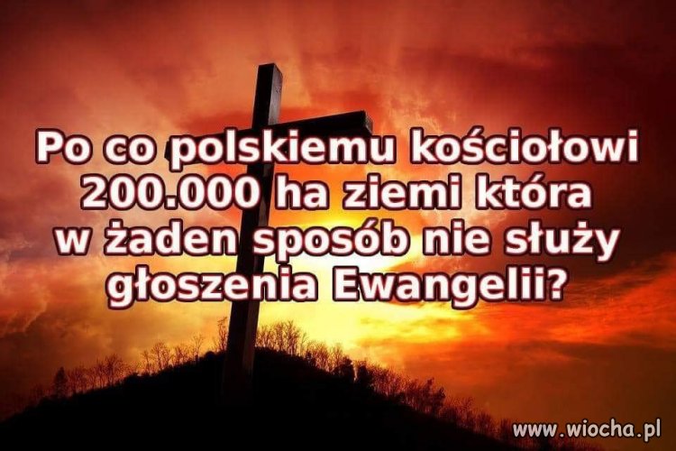 Ciągną z tego grubą kasę. Dopłaty z tej wstrętnej 