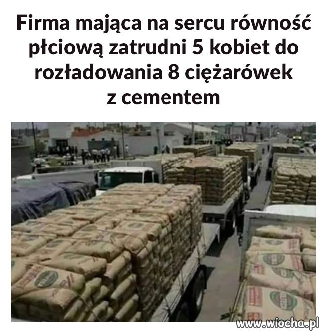 Równouprawnienie płci 