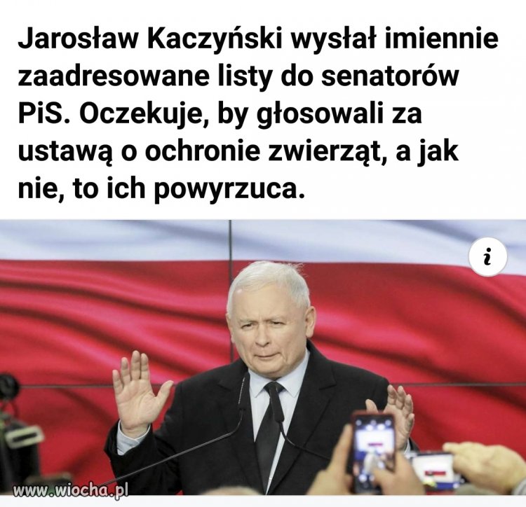 Tymczasem