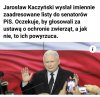 Tymczasem