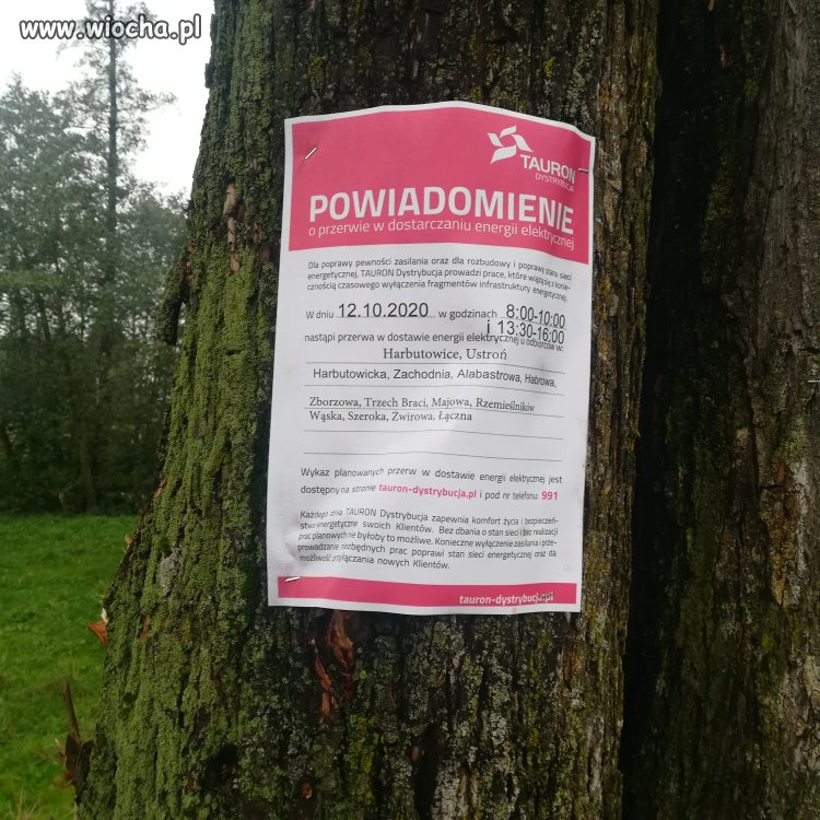 Z ortografią na bakier, ale rachunek za prąd umiej