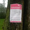 Z ortografią na bakier, ale rachunek za prąd umiej