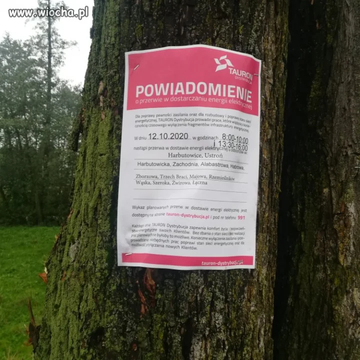 Z ortografią na bakier, ale rachunek za prąd umiej
