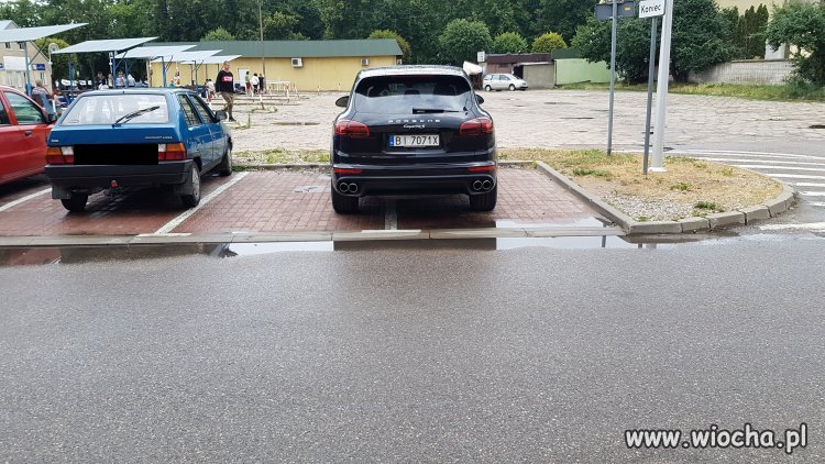 Mistrz parkowania 