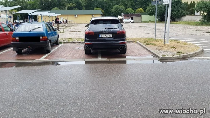 Mistrz parkowania 