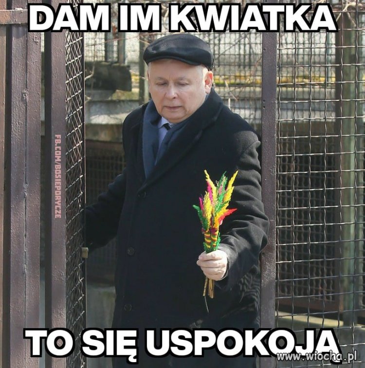 Dziewczyny uspokójcie się 