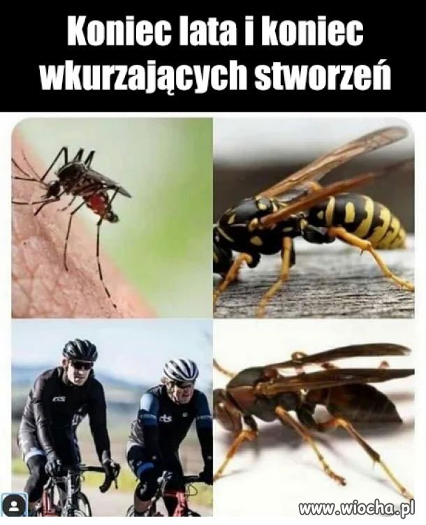 Trochę oddechu 