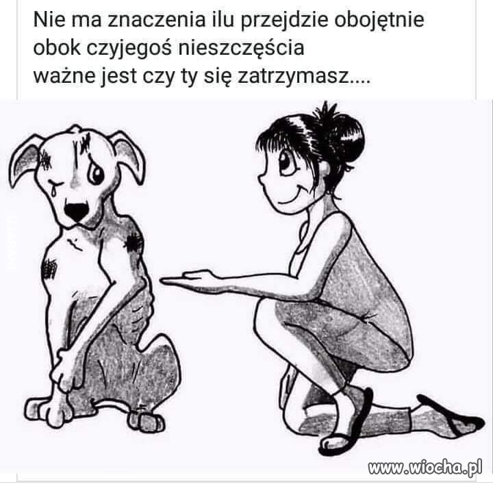 Polska się budzi ?