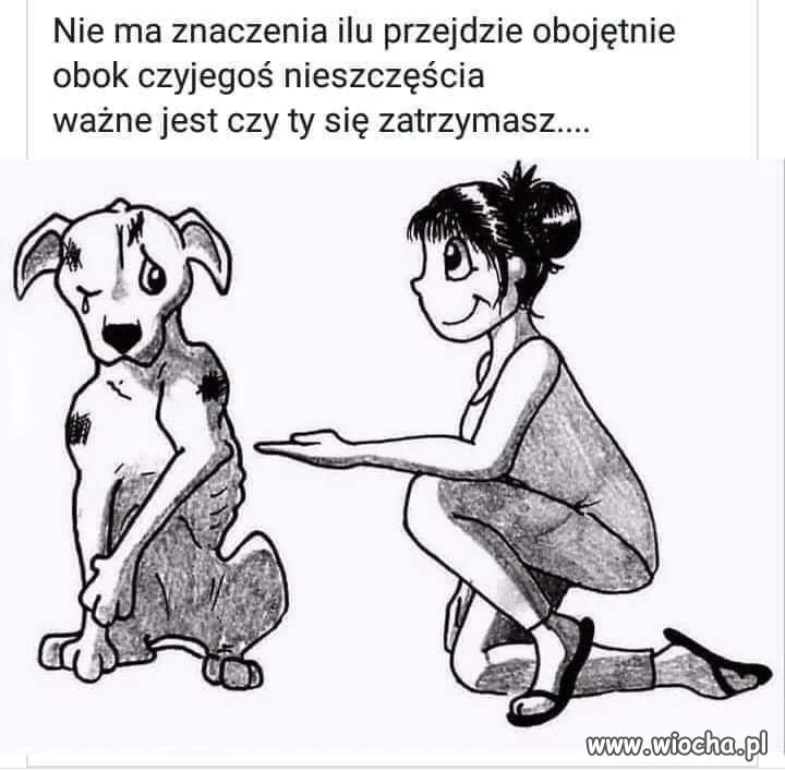 Polska się budzi ?